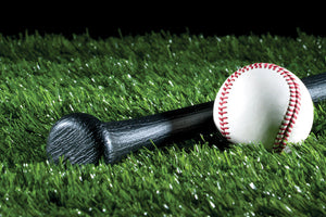 picture of a baseball & bat